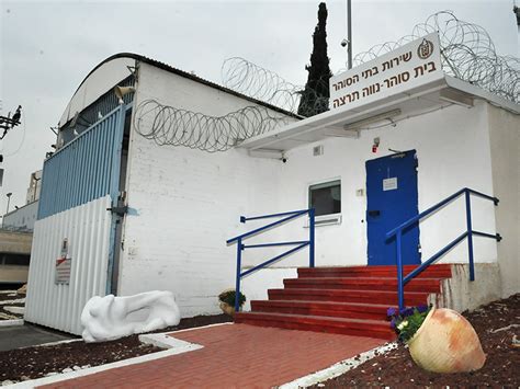והשבוע נדבר על ציפי רפאלי שנשלחה למאסר בגין עבירות מס, ועל האם בכלל צריך לשלוח עברייני מס לכלא, גם אם. נילי כהן רוכברגר: "כאבי המאסר" של ציפי רפאלי - ייצור ידע