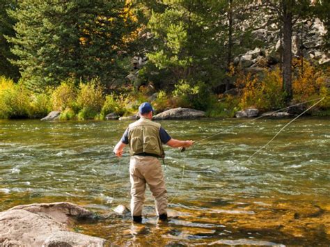 Fly Fishing 101 How To Get Started Beginners Guide