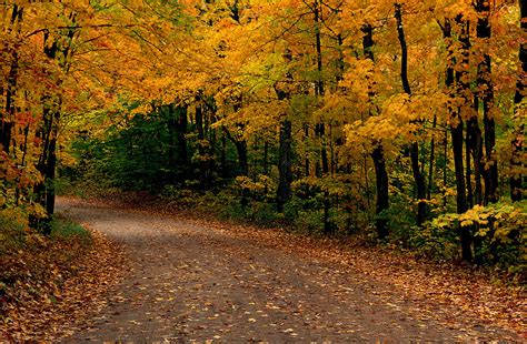 Colorfall Shows The Best Spots To See Fall Color In Kentucky