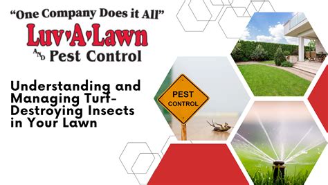 Prevent Wasp Infestation Before Summer - CRUCIAL Tips