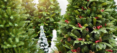 Christmas Tree Trends Real Or Fake Premier Tree Solutions