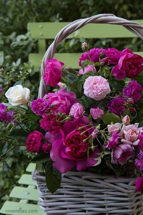Basket Of Fresh Cut Purple Flowers Pictures Photos And Images For