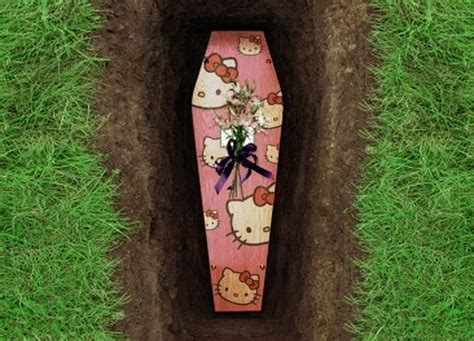 188 Best Coffinscaskets Images On Pinterest Coffin Funeral Caskets