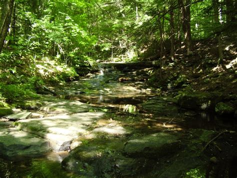 Maybe you would like to learn more about one of these? Worlds End State Park, a Pennsylvania State Park located ...
