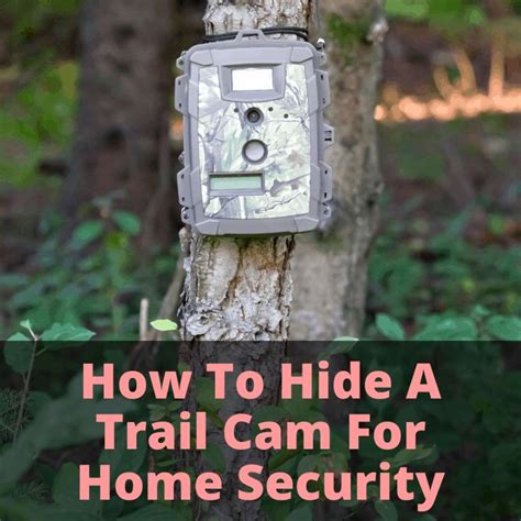 How To Hide A Trail Cam For Home Security In 2021 Diy Security Camera