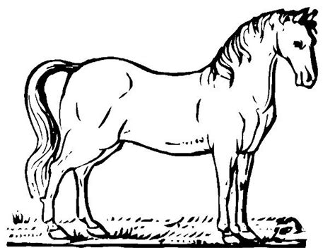 Vacas y caballos para colorear - Imagui
