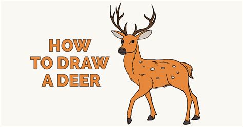 Step By Step Deer Drawing Easy For Kids Rectangle Circle