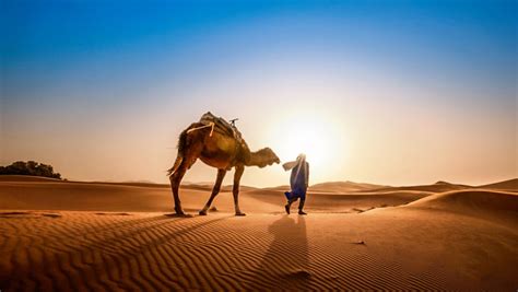 Magic Of The Desert Smithsonian Photo Contest Smithsonian Magazine