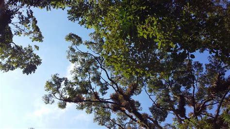 Free Images Sky Clouds Nature Mountains Landscape Tree