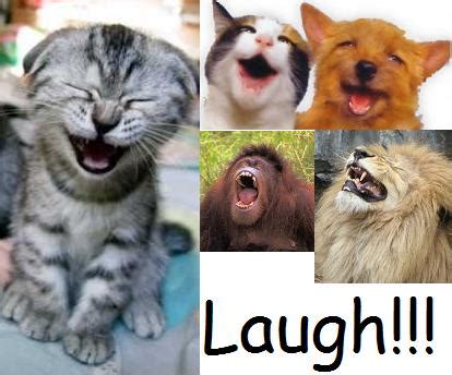 It is wisely said by someone that if you can't laugh on the same joke again and again so why the delays, setbacks and disappointments are over. funny and laugh: funny jokes to make a girl laugh