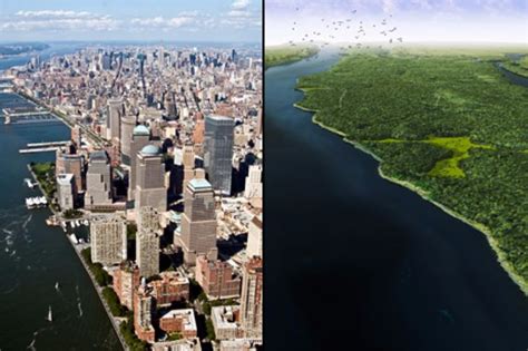 Before Urbanization Heres What New York Citys Residents Looked Like