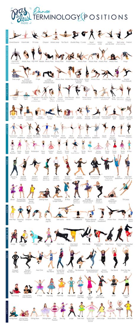 Pop Up Banner  Of Dance Positions And Terminology Pdd Logo Pasdedeuxphoto