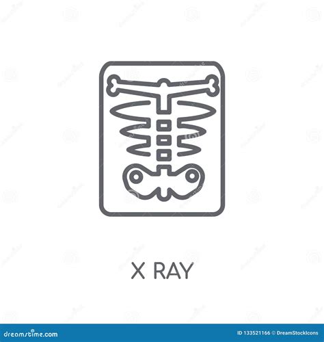 X Ray Linear Icon Modern Outline X Ray Logo Concept On White Ba Stock