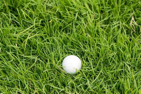 Golf Ball On Green Grass Stock Image Image Of Competition 69249269