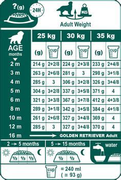 Grab your cat feeding schedule chart at the end of this high protein low carb wet food is a better option than kibble. Important feeding chart for dogs | Pets | Puppy food, Dog ...