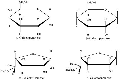 Dateigalactose Cyclic Haworthpng Wikipedia