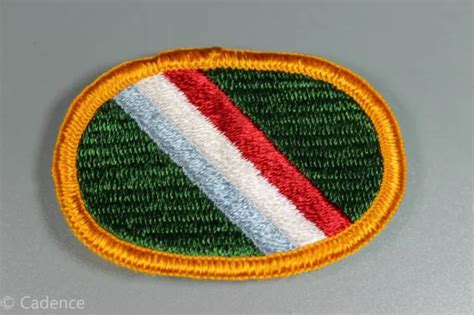 Us Vietnam War Era 11th Special Forces Airborne Jump Wing Oval Merrowed