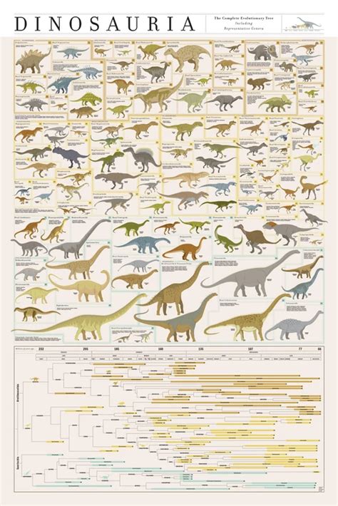 Types Of Dinosaurs Chart