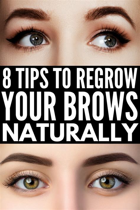 Short Eyebrows Types Of Eyebrows Blonde Eyebrows Black Eyebrows How To Color Eyebrows