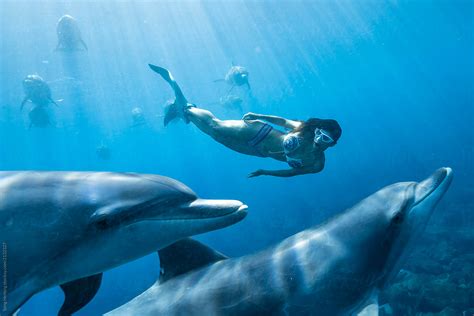 Mermaid Swimming With Dolphins By Song Heming Stocksy United
