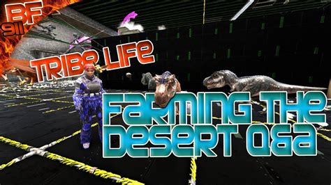 There are large areas of the scorched earth map in ark that have a large number of various cactus. How to farm the Desert of Ragnarok - YouTube