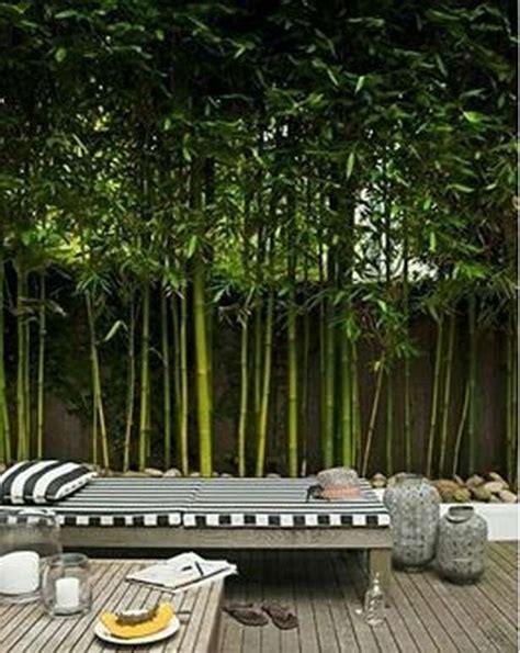 With this tool you can gather materials. Bamboo Garden Ideas Backyards_13 | Backyard, Bamboo garden, Backyard landscaping