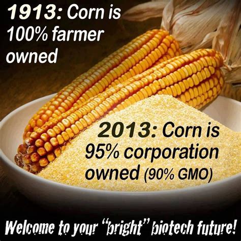 Gmo Corn Is In So Many Processed Foods Read Labels Gmo Facts