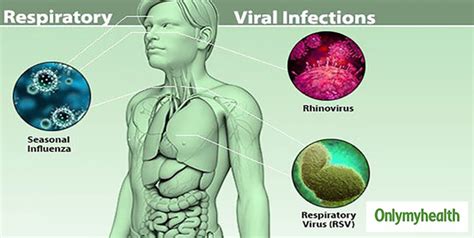 Virus Vs Bacteria Understand The Difference Between Bacterial And