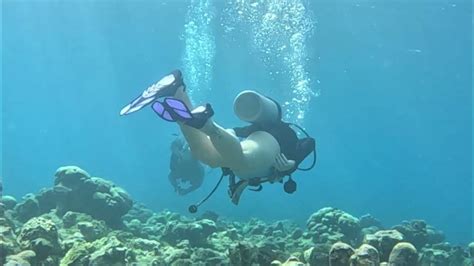 Gina Diving Eden Rock Cayman Islands Youtube