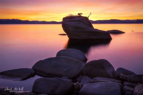Bonsai Rock Lake Tahoe Fine Art Photography Lake Tahoe Etsy
