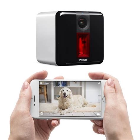 7 High Tech Dog Gadget Ts For The Dog Who Has Everything The Dog