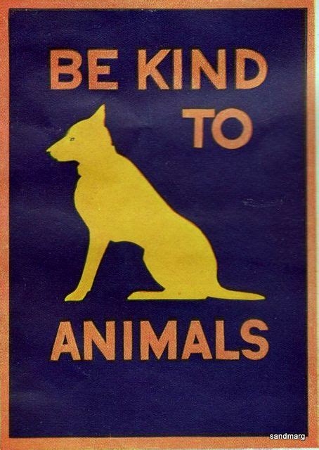 Sandmargetsy Kindness To Animals Animals Friends Animals Poster