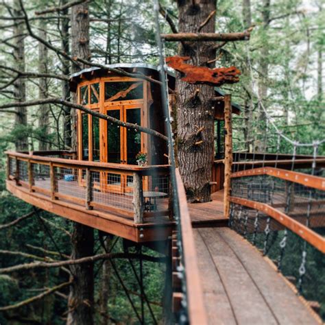 For more information on the pet fee, weight limit and other restrictions at a particular property in bodega bay, please contact the host directly or read the 'house rules' section of their listing. Eagles Nest Treehouse Bodega Bay | Cool tree houses, Tree ...