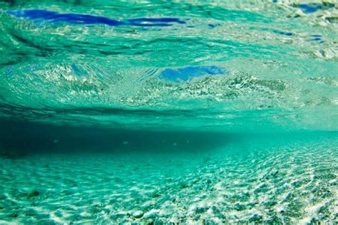 Namotu Islands Resort Fiji Island Resort Water Underwater