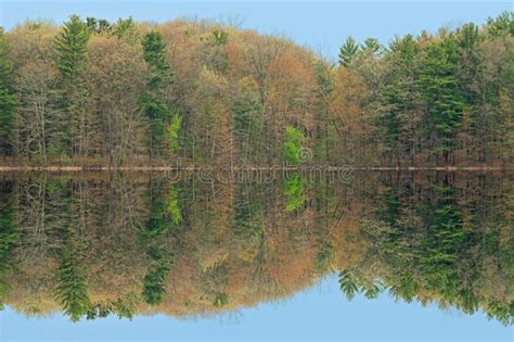 Spring Shoreline Hall Lake Stock Photo Image Of Green 164134368