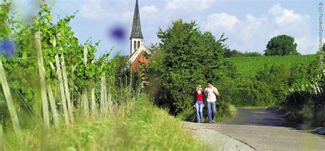 email protected impressum | datenschutzerklärung. Der MainRadweg