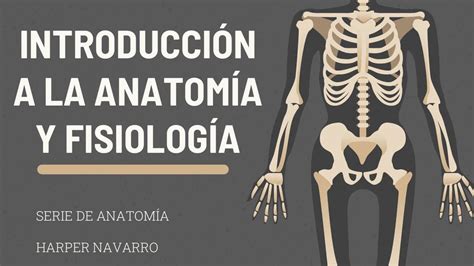 IntroducciÓn A La AnatomÍa Y FisiologÍa Anatomía Salud Udocz