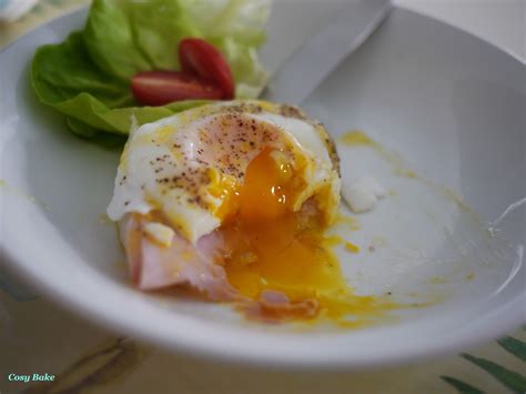 Poached Egg With Hollandaise Sauce