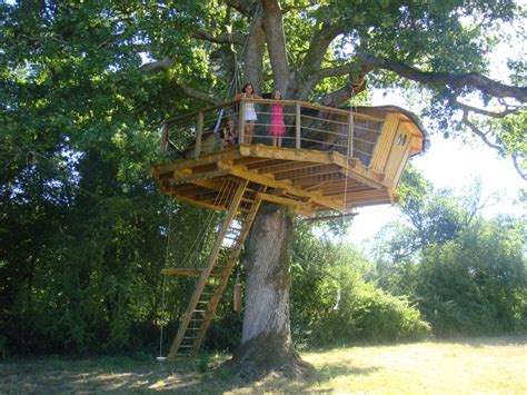 You can choose anything from gorgeous designer cabins to rambling. I once slept here! Great tree house in the neighborhood of ...