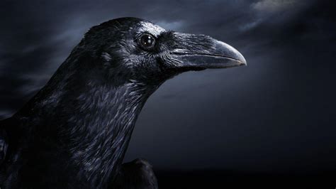 Six Of Crows Wallpapers Top Free Six Of Crows Backgrounds Wallpaperaccess