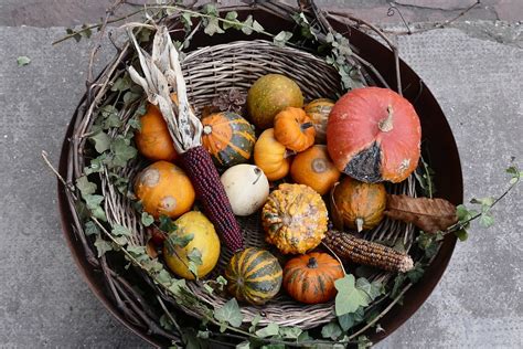 Find thanksgiving appetizers recipes for dips, savory tartlets, cheese spreads, crudite, and more. Make it Tonight: 2 of the Yummiest Thanksgiving Appetizers ...