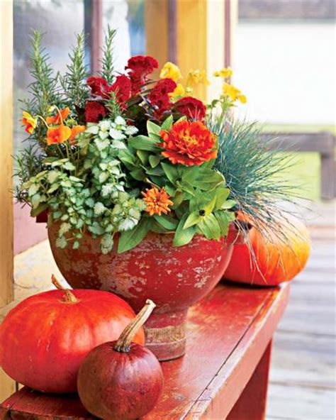 Fresh Fall Container Gardens Midwest Living