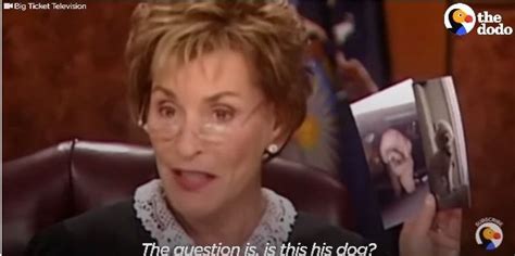 Check spelling or type a new query. Two People Fight Over A Dog In Judge Judy's Court— Now ...