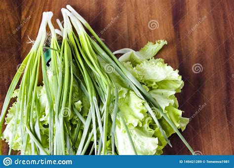 Fresh Green Lettuce Salad Healthy Food Stock Image Image Of Health