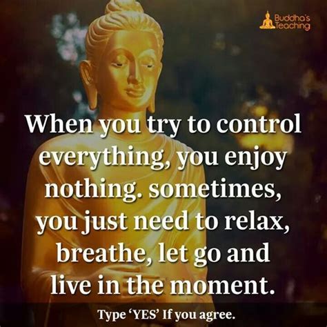 When You Try To Control Everything U Enjoy Nothing Buddhism Quote Inspirational Quotes