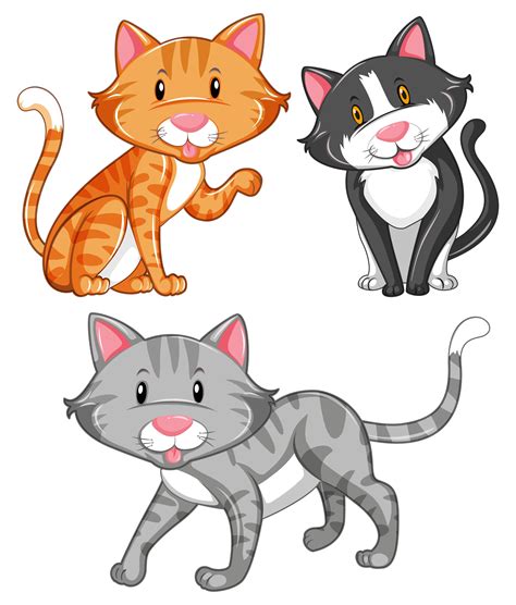 Cat With Different Fur Colors 447874 Vector Art At Vecteezy
