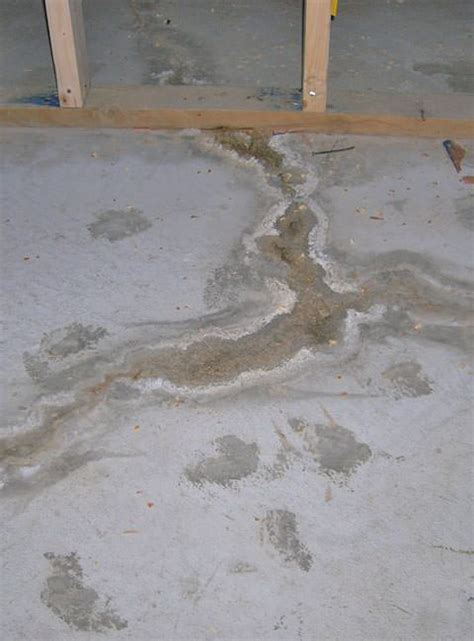 We did not find results for: Basement Floor & Wall Crack Repair in Province of Quebec ...
