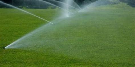 3 Common Signs That You Are Overwatering Your Lawn Great Outdoors