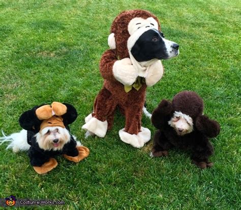 No Evil Monkeys Dogs Costumes Diy Costumes Under 25