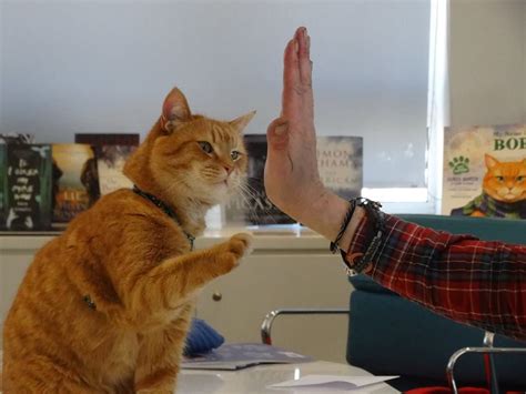Any Time Is A Good Time For High Five From Fb Page